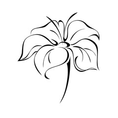 ornament 1382. one stylized flower with large petals on a short stalk in black lines on a white background