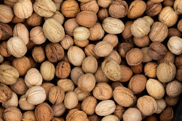 Lots of walnuts. Soft, natural lighting