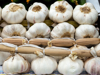 Close up of braids of garlic. natural, soft light.