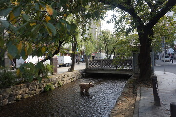 Río en Kyoto