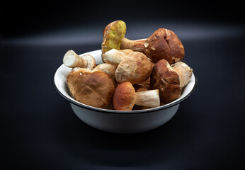 Beautiful fresh porcini mushrooms  in metal basin on dark background isolated season healthy food 