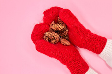 A child in a mittens holds fir cones against a pink background