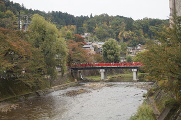 Fototapeta na wymiar Puente japonés sobre el río
