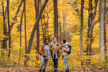 Three female friends having fun and enjoying hiking in forest on a beautiful autumn day.