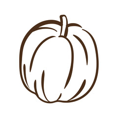pumpkin autumn fruit seasonal line style icon