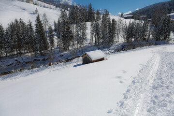 Fototapeta na wymiar Small Wooden Shack in Winter day with Fir and Fresh Snow in the Mountains