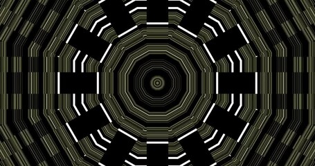 Patterns of black and white monochrome rotating kaleidoscopes. Abstract motion graphics. Fractal animation. Beautiful ornament. Endless cycle - Powered by Adobe