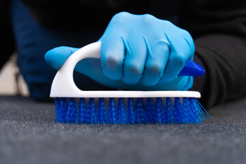 A hand in a rubber blue glove is cleaning the carpet with a white brush. Cleaning and disinfection...