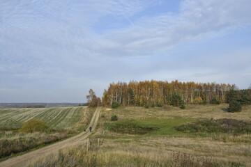 
Autumn in a Kashubian field