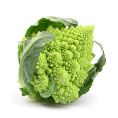 romanesco broccoli isolated on white background