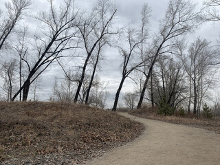 Pathway in the empty park, leafless trees, melancholic atmosphere 