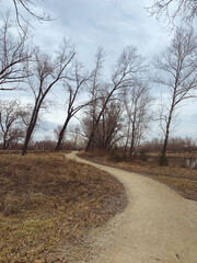 Pathway in the empty park, leafless trees, melancholic atmosphere 