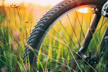Bicycle Wheel In The Summer Green Grass Meadow Field