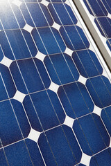 Close up of a blue sun cell, background texture.