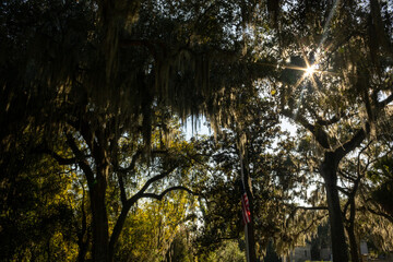 Bonneventure Cemetary