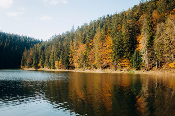 Fototapeta na wymiar Amazing autumn landscape. Reflection of colored trees in the lake