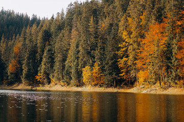 Reflection of colored trees in the lake