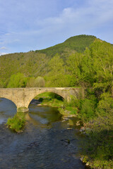 Fototapeta na wymiar Le pont du Tarn à Florac (48400) enjambe la rivière, Lozère en Occitanie, France