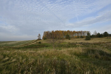 The wonderful panoramic view of a Kashubian field