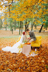 Newlyweds look at each other sitting in the autumn park.