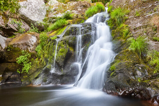 Atlantic green rainforest with cascade and creek. Galicia, Ourense. Spain