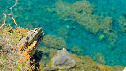 View from the coastline on the turquoise sea