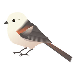 かわいいシマエナガのベクターイラスト