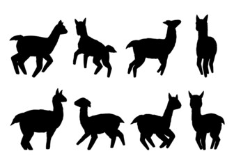Llamas silhouette collection. Vector illustration set. Isolated on white background