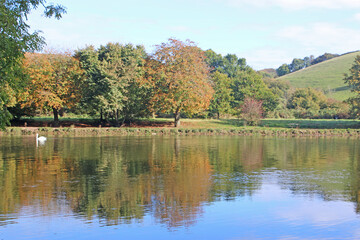 Fototapeta na wymiar Autumn Reflections in the River Dart, Devon 
