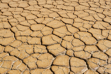 landscape - wet clay surface with mudcracks