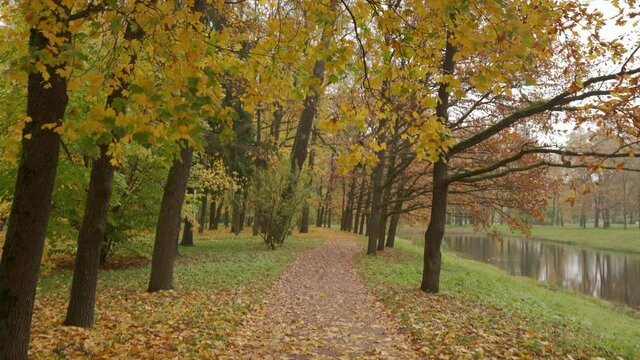 Walking on the path in Catherine Park in autumn, Tsarskoye Selo, Old garden, St. Petersburg, Russia.