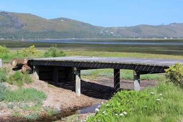 Swamps at Knysna town, nature reaserve