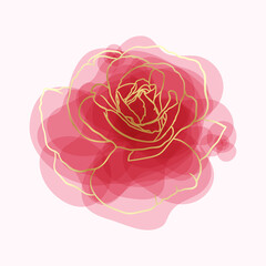 beautiful rose watercolor imitation hand-painted with golden outline isolated on white background - obrazy, fototapety, plakaty