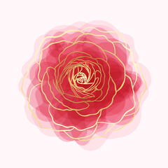 beautiful rose watercolor imitation hand-painted with golden outline isolated on white background - obrazy, fototapety, plakaty
