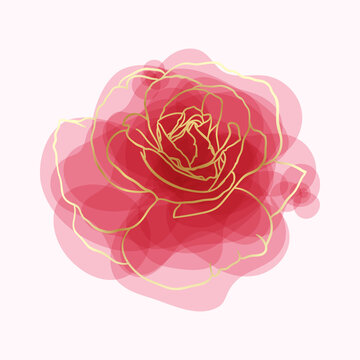 beautiful rose watercolor imitation hand-painted with golden outline isolated on white background