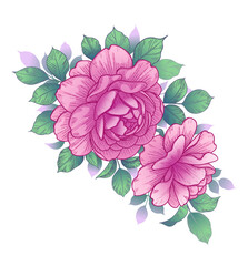 Hand Drawn Floral Arrangement with Pink Roses