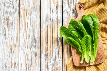 Ripe organic green salad Romano on a cutting board. White background. Top view. Copy space