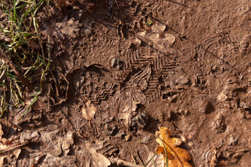 muddy Foot Prints