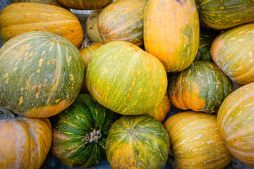 Box with pumpkins on a farm