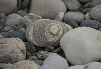 stone or rock surface pattern
