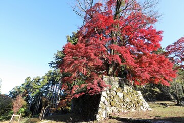 奈良県　高取城の紅葉