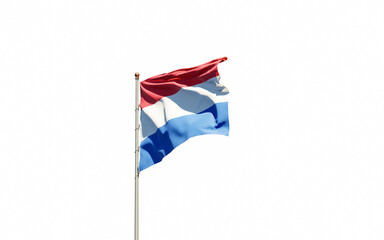 Netherlands national flag on white background isolated.