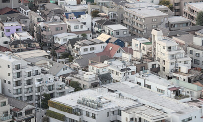 Fototapeta na wymiar View of the city Tokyo