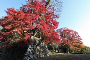 奈良県　高取城の紅葉
