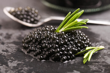 Black sturgeon caviar in a spoon with rosemary