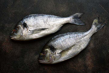 Raw chilled dorado fish on an ice cubes. Top view with copy space.