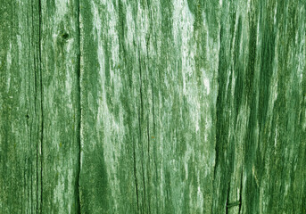 Grungy green weathered wood board texture.