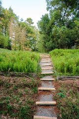 Stairway made with bamboo leading to the forest