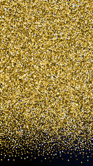 Round gold glitter luxury sparkling confetti. Scat