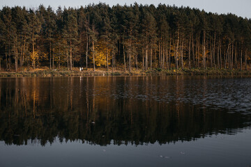autumn, forest, lake, leaves, 
trees